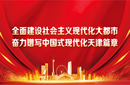 習(xí)近平總書記視察天津重要講話精神
